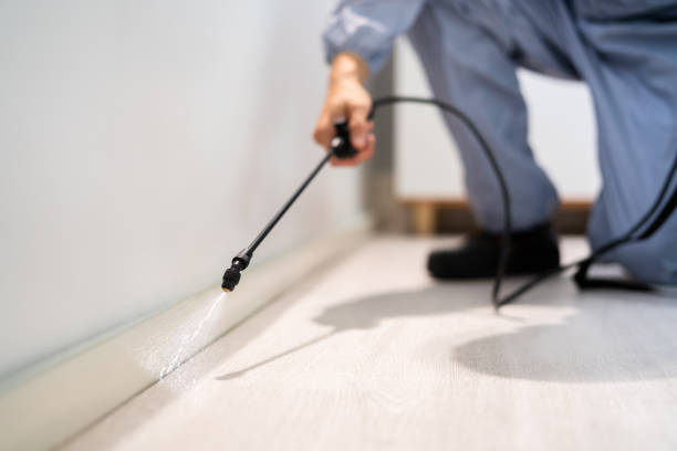 Licensed Ant Control service in Sunnyside, GA - Nex Pest Control
