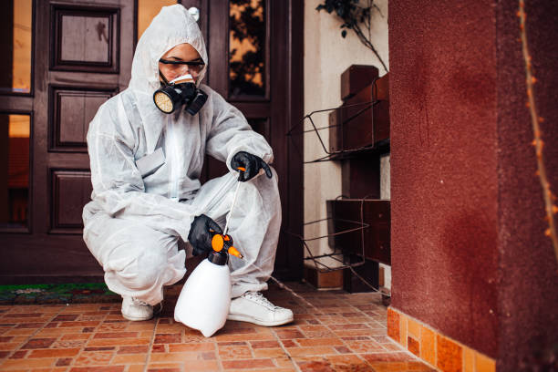 Reliable Ant Control contractor in Sunnyside, GA by Nex Pest Control