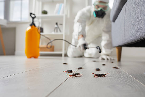 Trusted Mosquito Control service in Sunnyside, GA - Nex Pest Control