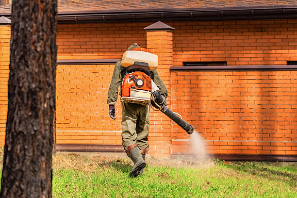 Trusted Termite Control service in Sunnyside, GA - Nex Pest Control
